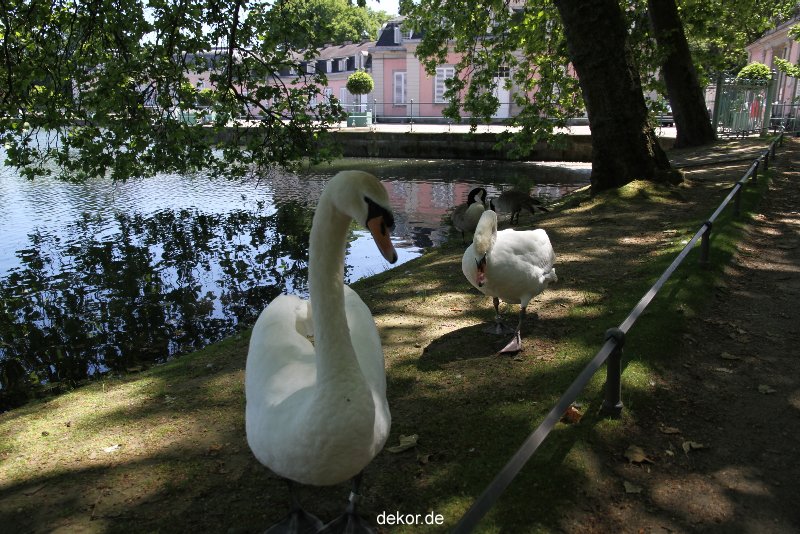 duesseldorf-schloss-benrath-tiere-047