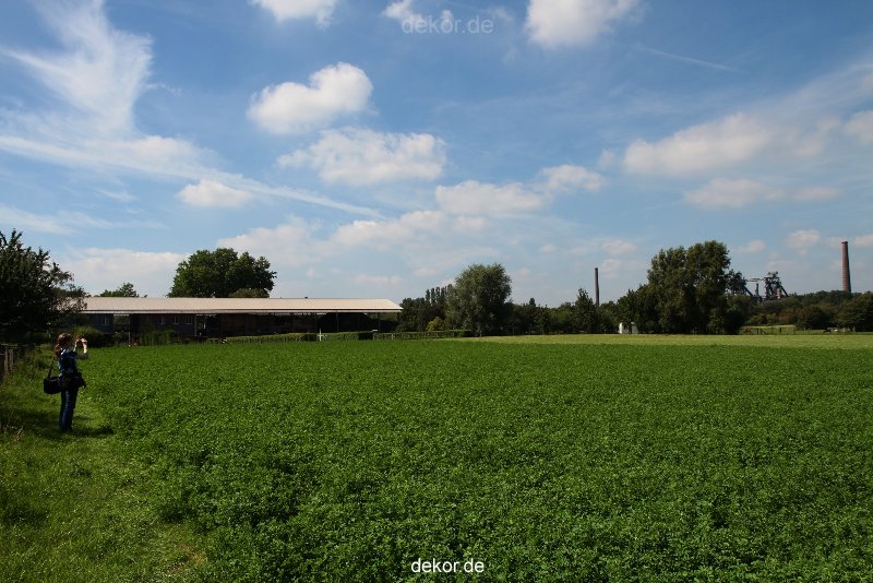 duisburg-landschaftspark-bauernhof-047