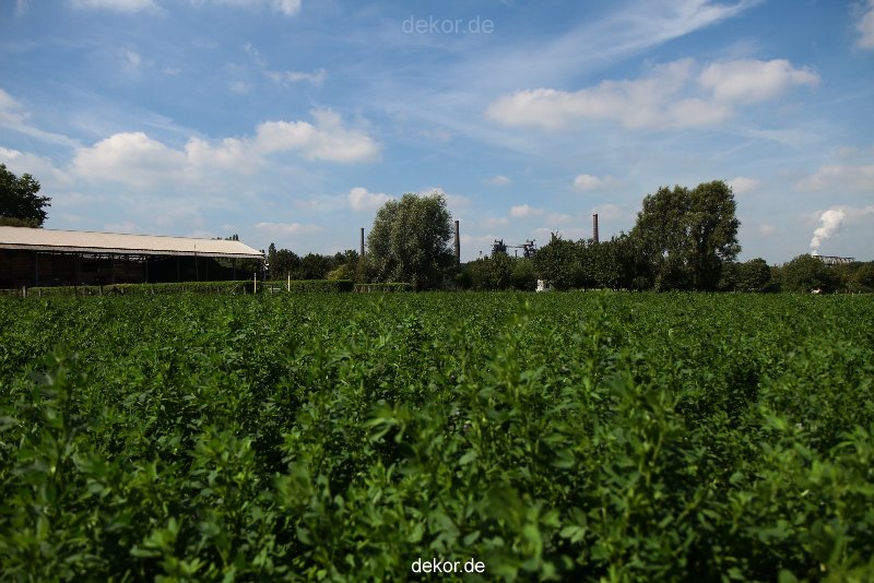 duisburg-landschaftspark-bauernhof-054