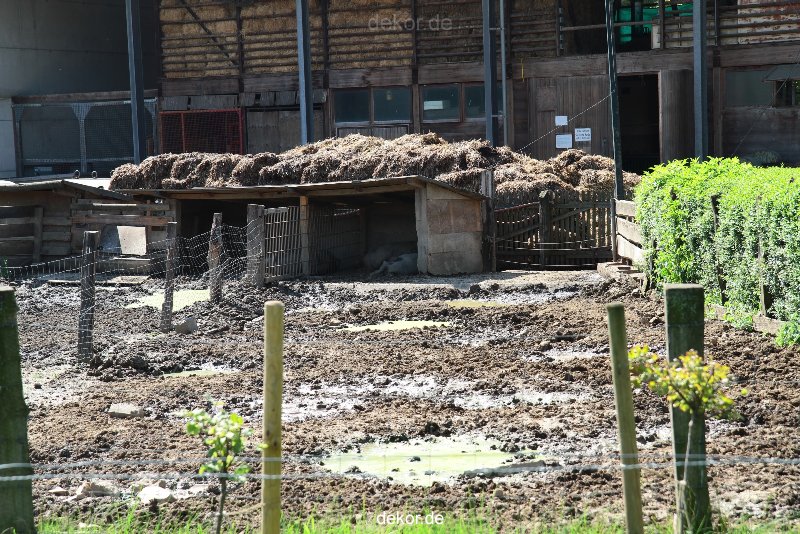 duisburg-landschaftspark-bauernhof-056
