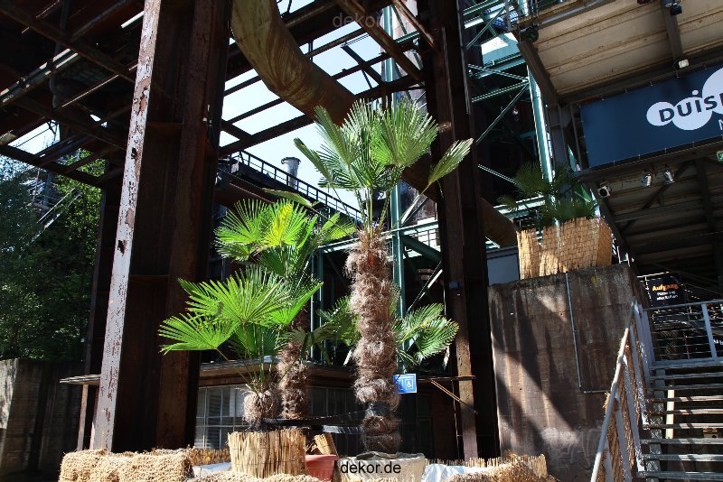 duisburg-landschaftspark-huettenwerk-060