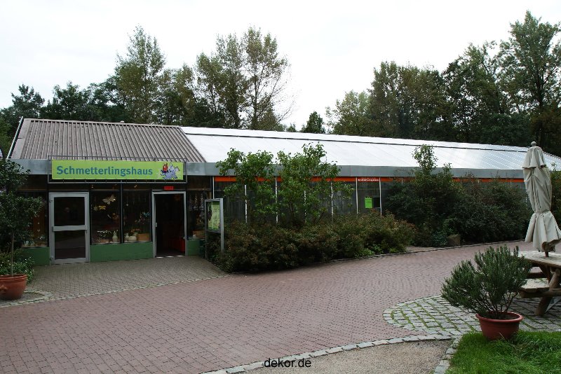 hamm-maxipark-schmetterlingshaus-066