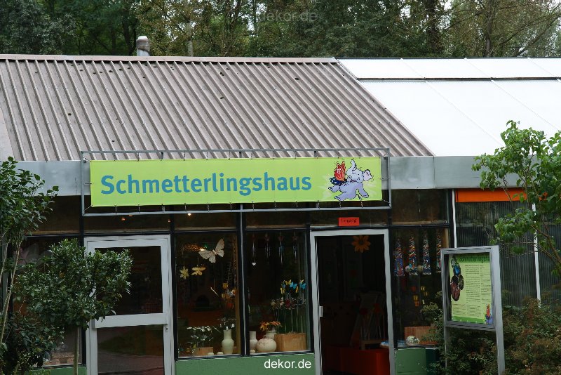 hamm-maxipark-schmetterlingshaus-068