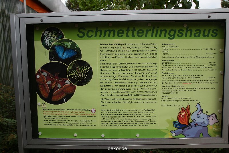 hamm-maxipark-schmetterlingshaus-069