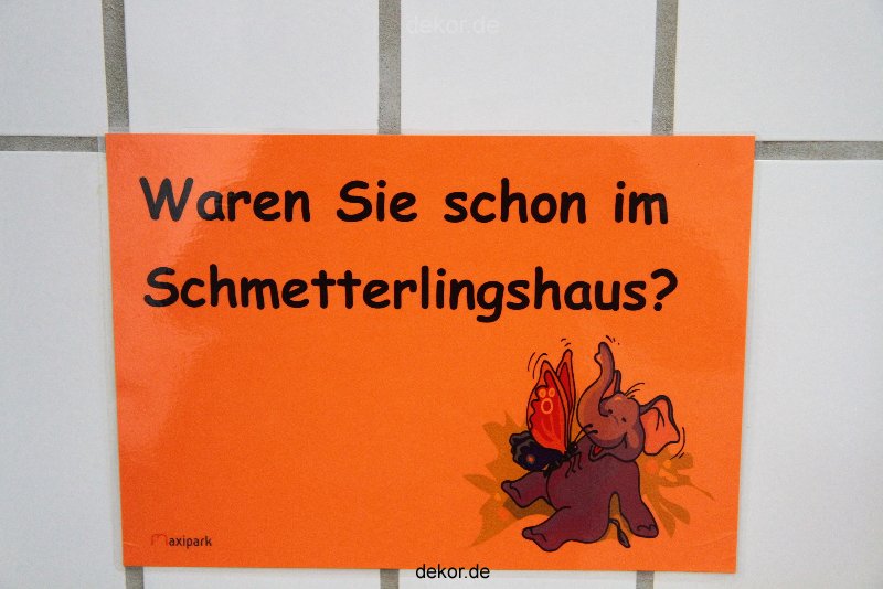 hamm-maxipark-schmetterlingshaus-070