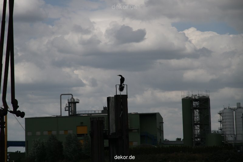 neuss-hafen-092
