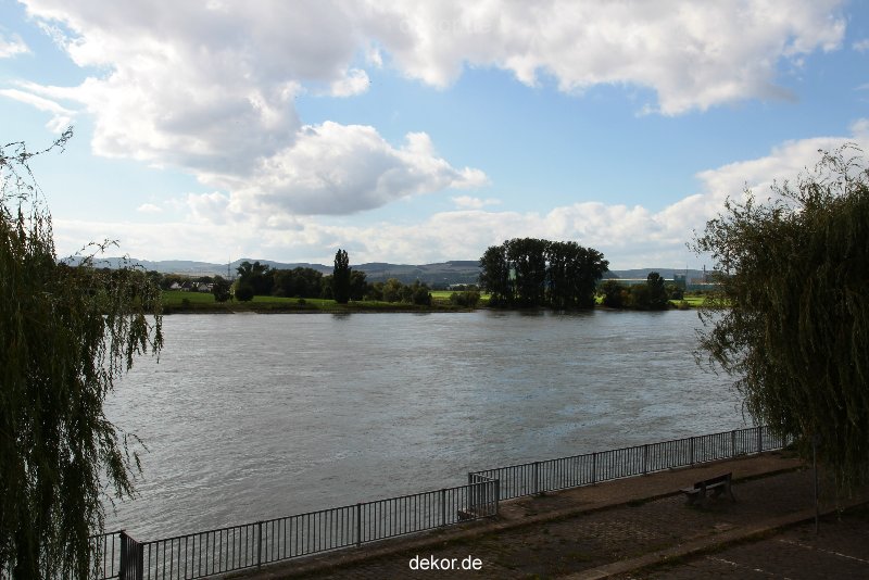 neuwied-ort-026