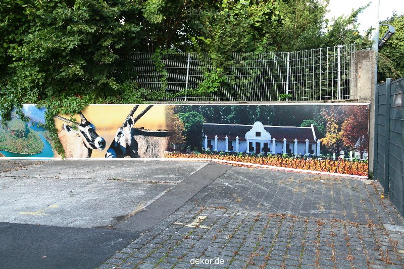 neuwied-ort-163