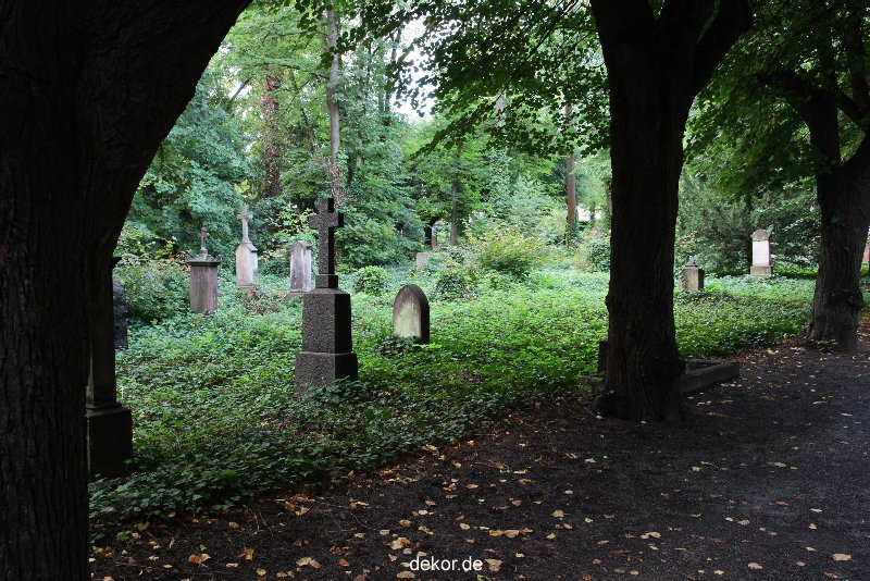 neuwied-ort-184