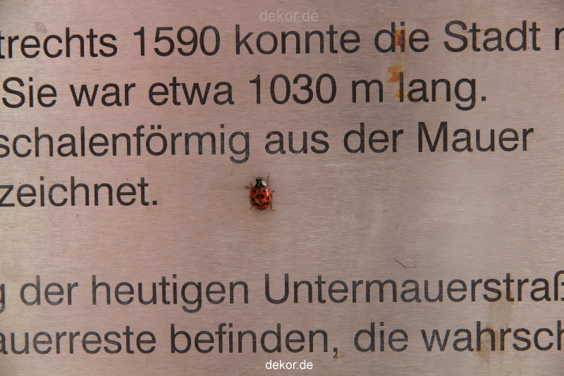 schwelm-brauerei-022