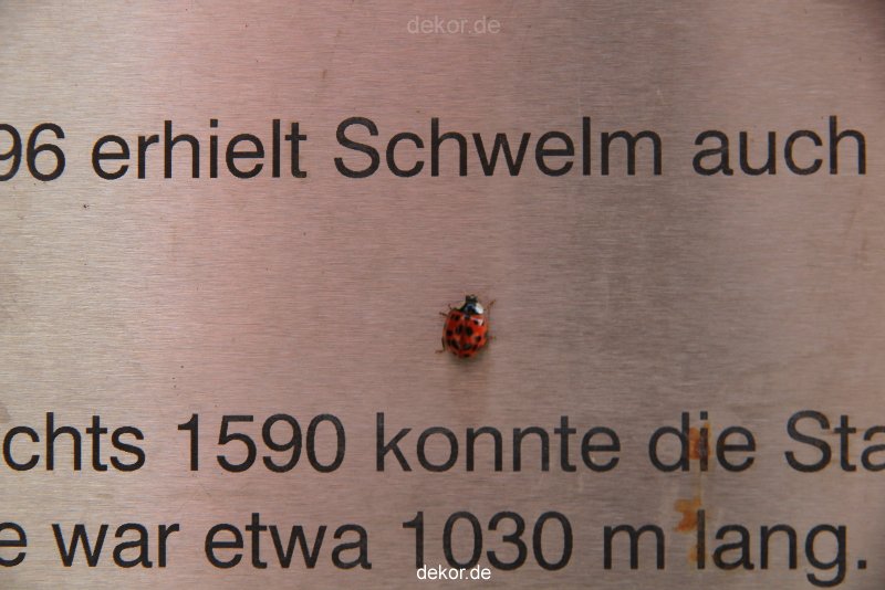 schwelm-brauerei-024