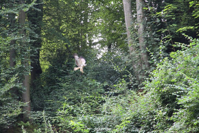 velbert-neviges-kreuzweg-042