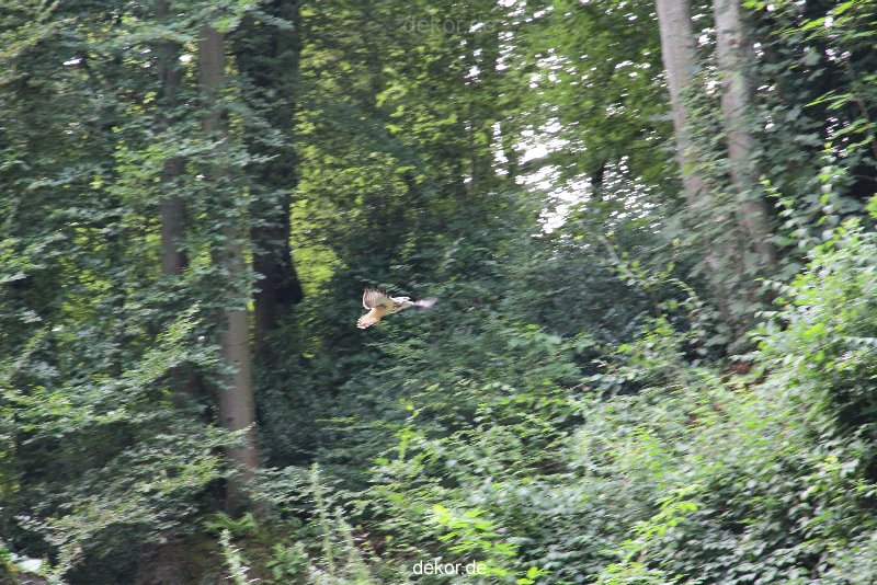 velbert-neviges-kreuzweg-043