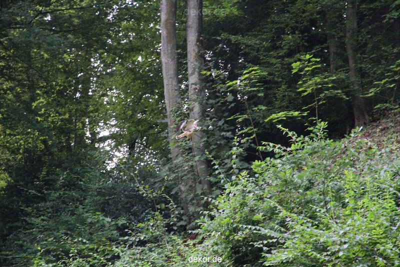 velbert-neviges-kreuzweg-045