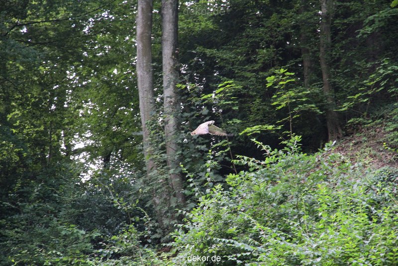 velbert-neviges-kreuzweg-046