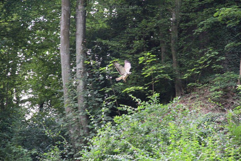 velbert-neviges-kreuzweg-047