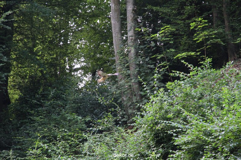 velbert-neviges-kreuzweg-049
