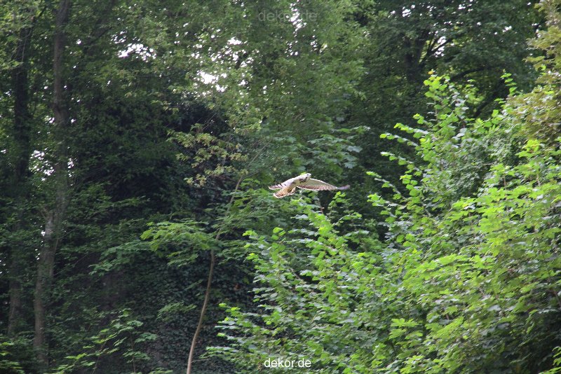 velbert-neviges-kreuzweg-051