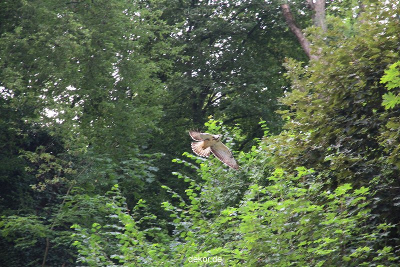 velbert-neviges-kreuzweg-053