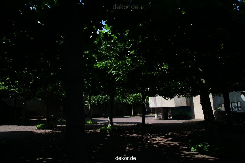 velbert-neviges-mariendom-026
