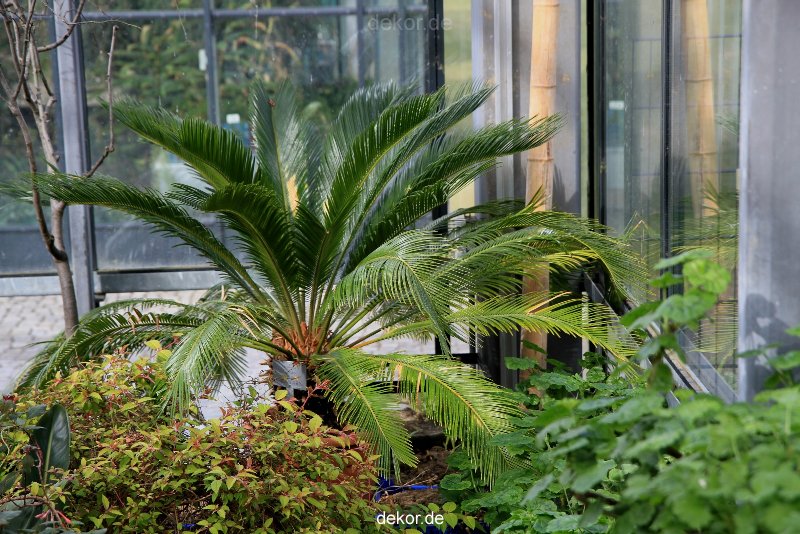wuppertal-hardt-botanischer-garten-2013-006