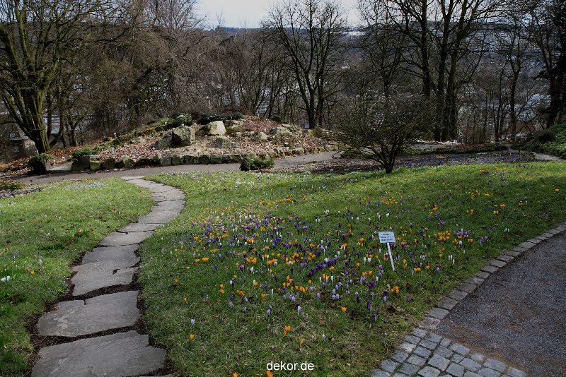 wuppertal-hardt-botanischer-garten-2013-041