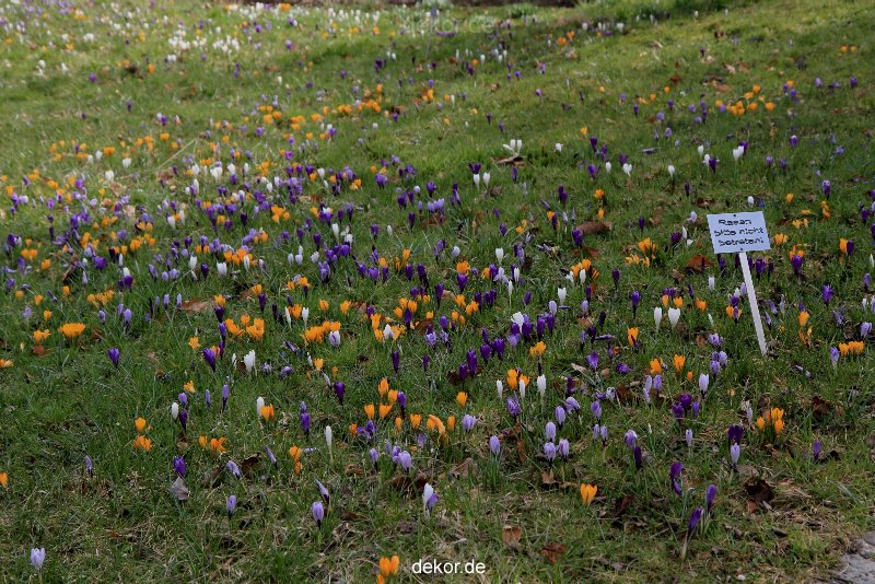 wuppertal-hardt-botanischer-garten-2013-042