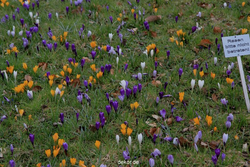 wuppertal-hardt-botanischer-garten-2013-043