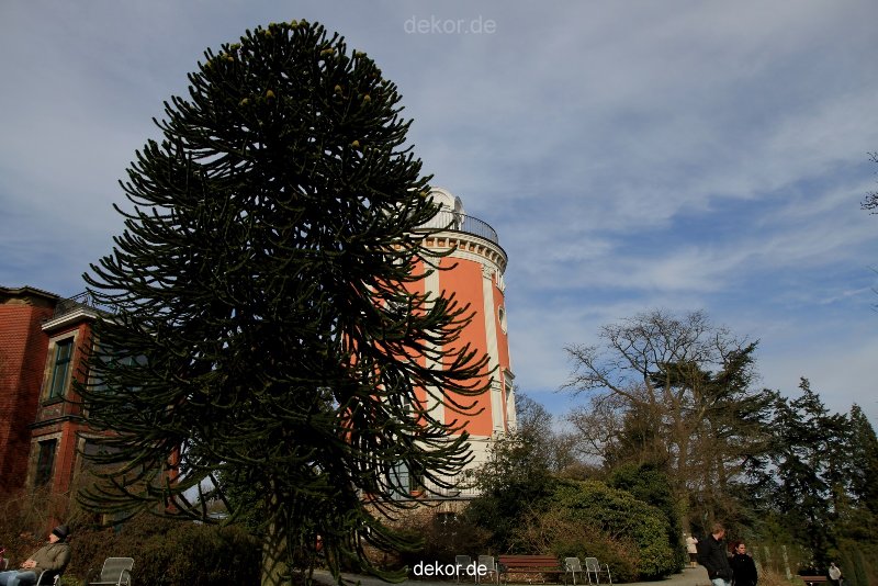 wuppertal-hardt-botanischer-garten-2013-044