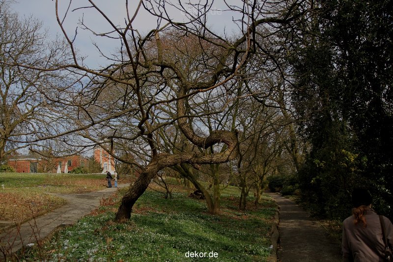 wuppertal-hardt-botanischer-garten-2013-047