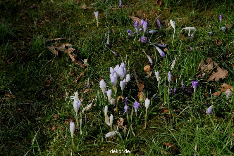 wuppertal-hardt-botanischer-garten-2013-050