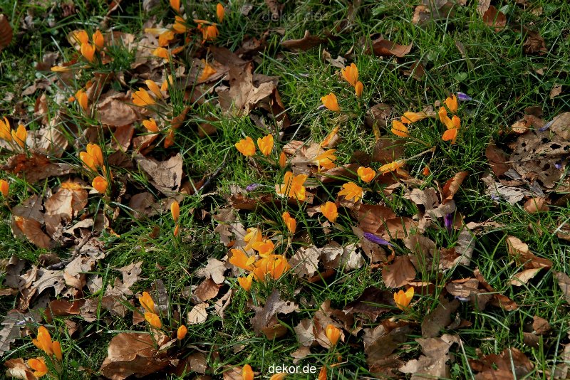 wuppertal-hardt-botanischer-garten-2013-051
