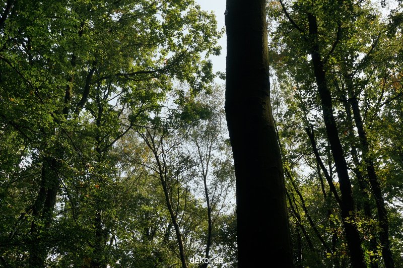 wuppertal-barmer-anlagen-045