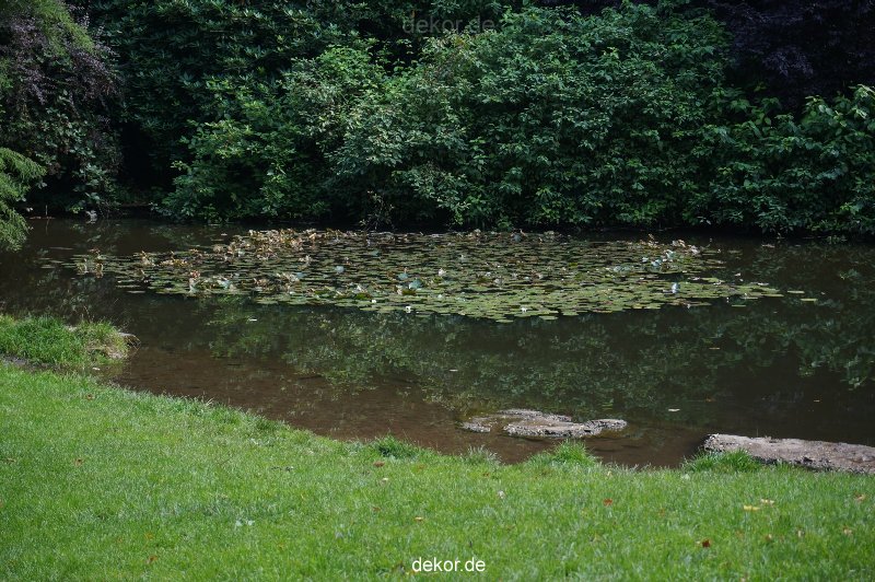 wuppertal-barmer-anlagen-085