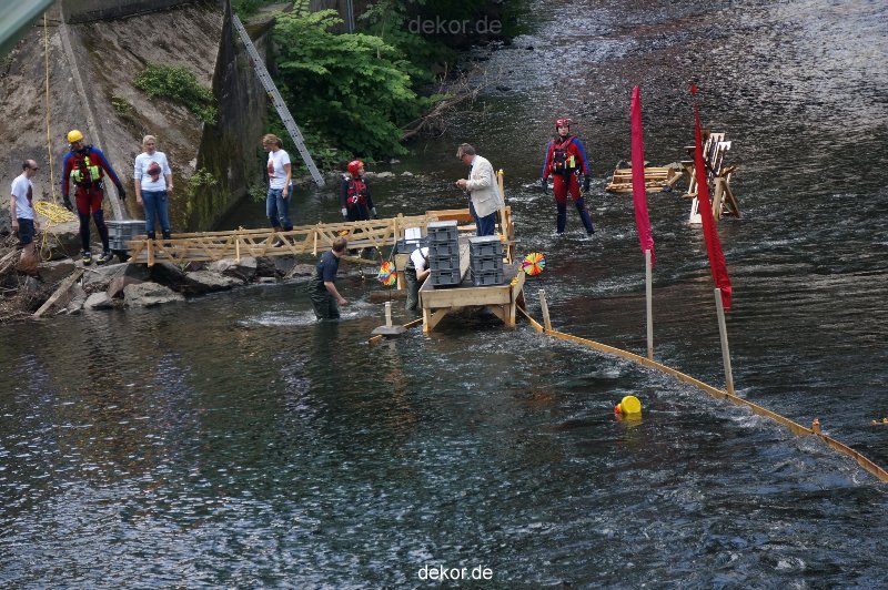 wuppertal-entenrennen-088