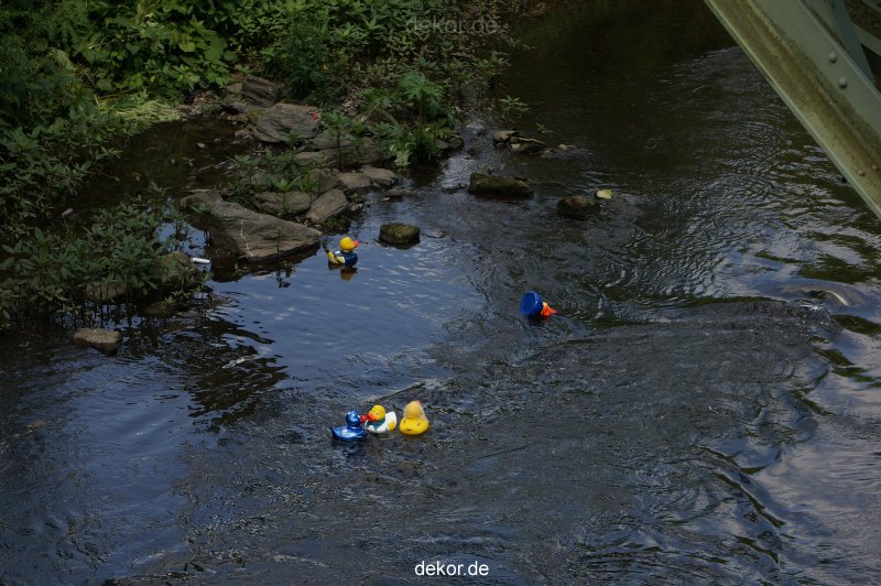 wuppertal-entenrennen-103
