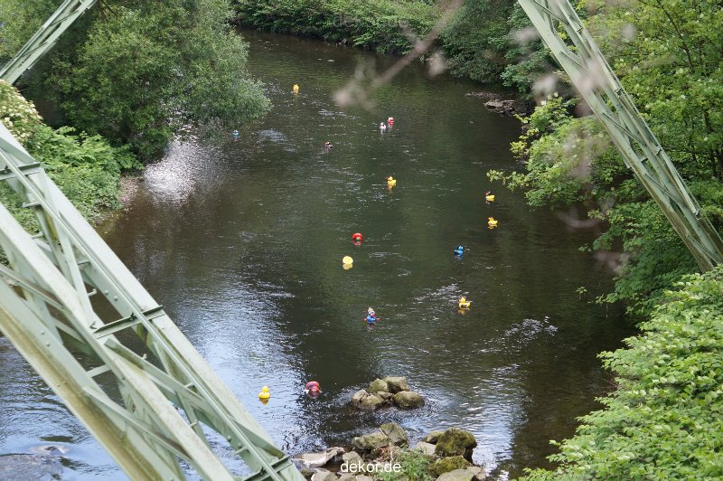 wuppertal-entenrennen-136