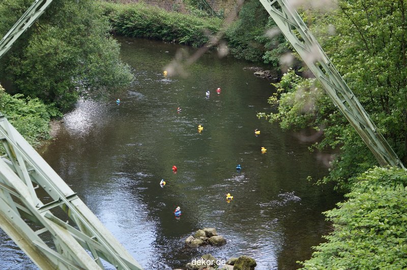 wuppertal-entenrennen-137