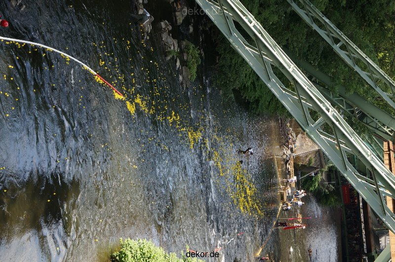wuppertal-entenrennen-217