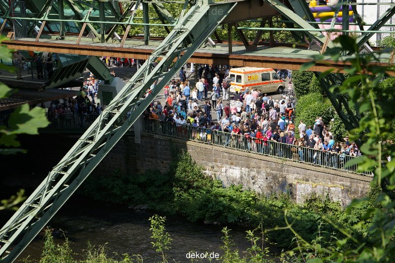 wuppertal-entenrennen-241