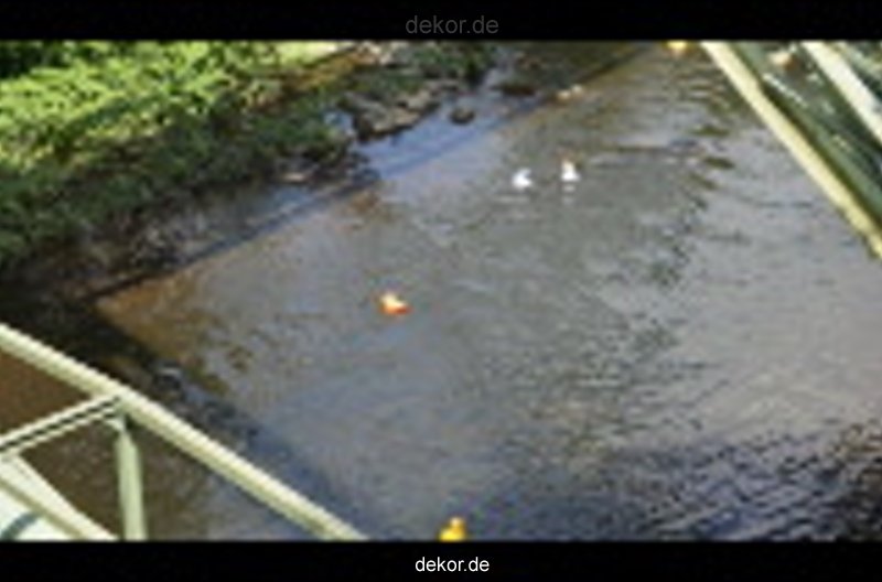 wuppertal-entenrennen-329