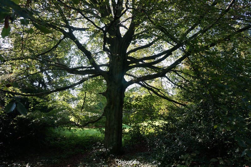 wuppertal-vorwerkpark-016