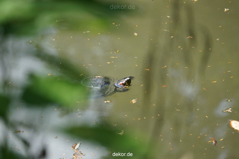 wuppertal-vorwerkpark-059