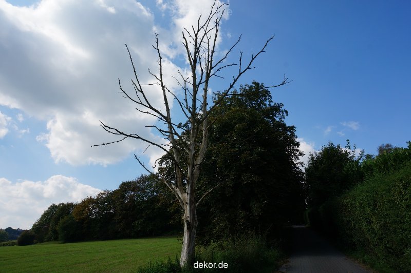 wuppertal-vorwerkpark-092