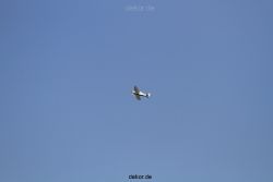 duesseldorf-flughafen-flughafen-flugzeuge-1-029