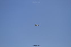duesseldorf-flughafen-flughafen-flugzeuge-1-030