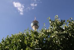 duesseldorf-medienhafen-medienhafen3-010