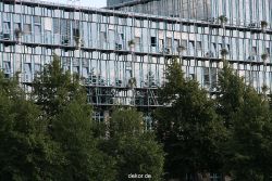 duesseldorf-medienhafen-medienhafen3-030