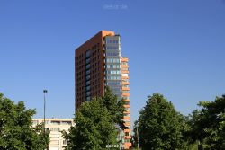 duesseldorf-medienhafen-rheinturm-052