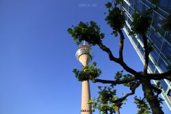 duesseldorf-medienhafen-rheinturm-065